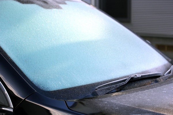 車の霜に困っている人に知って欲しいカーポートと樹木の活用法3選