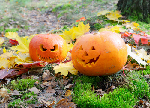 自宅の庭で楽しむハロウィン！工夫と作り方の完全ガイド