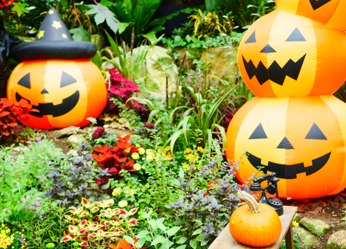 ハロウィン
