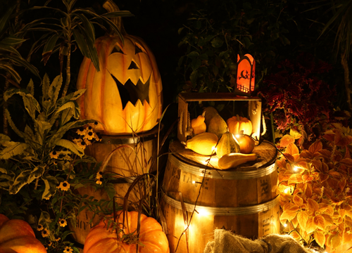 ハロウィン
