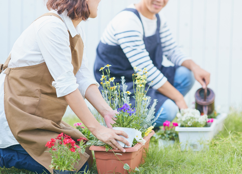 冬の庭の手入れ