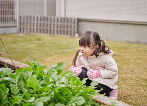 花壇を見つめる子ども