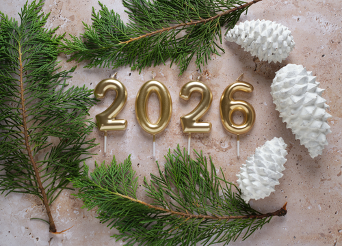 新しい一年を迎える準備を、庭から。granksが提案する「正月の庭づくり」