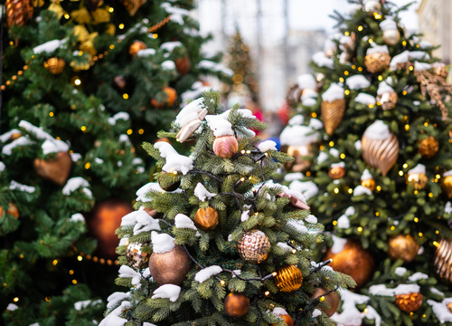 もみの木クリスマスツリー