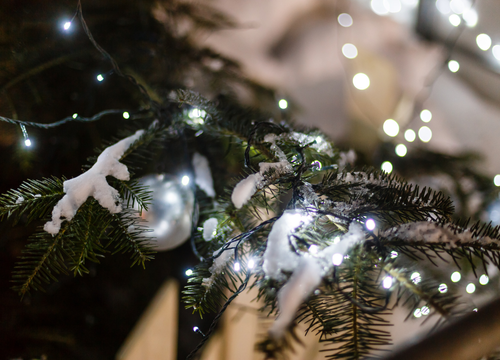 もみの木クリスマスツリー