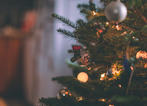 もみの木クリスマスツリー